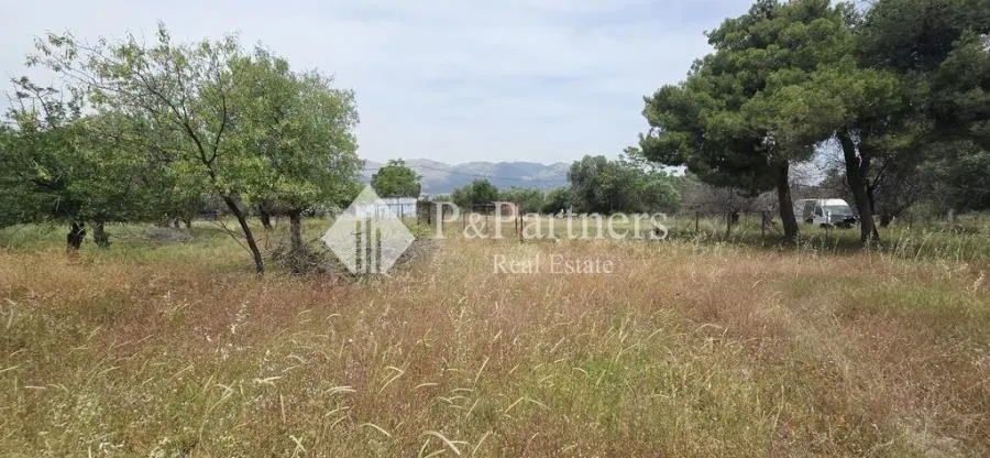 Plot 290m²  - 3
