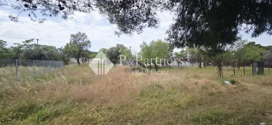 Plot 290m²  - 4