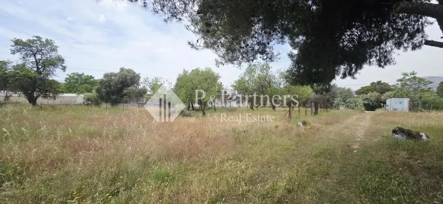 Plot 290m²  - 5