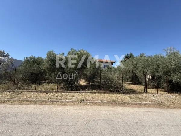 Οικόπεδο 600τ.μ.  - 4