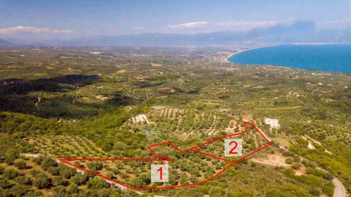 Οικόπεδο 9004τ.μ.  - 2