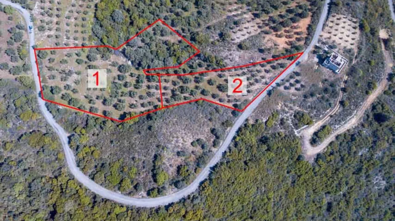 Οικόπεδο 9004τ.μ.  - 4