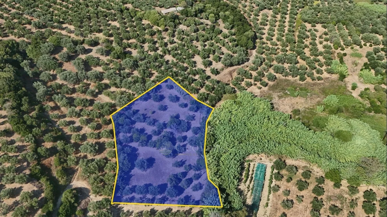 Οικόπεδο 4061τ.μ.  - 3