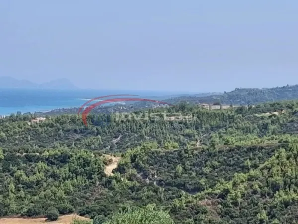 Αγροτεμάχιο 4000τ.μ.  - 2
