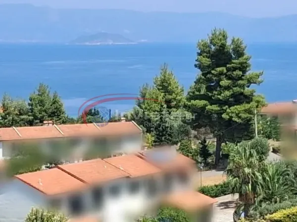 Αγροτεμάχιο 4000τ.μ.  - 3