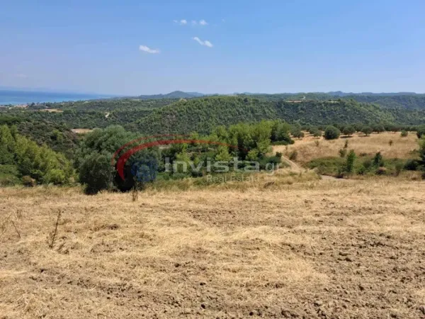 Αγροτεμάχιο 4000τ.μ.  - 4