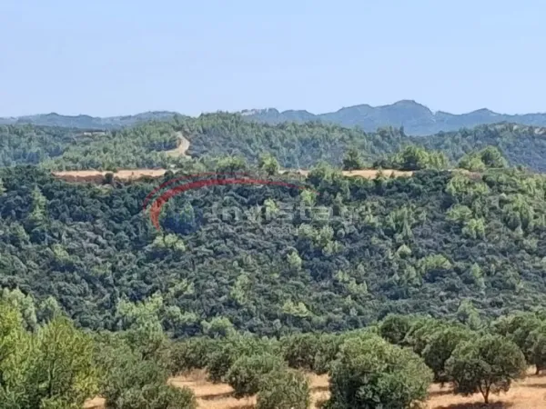 Αγροτεμάχιο 4000τ.μ.  - 5