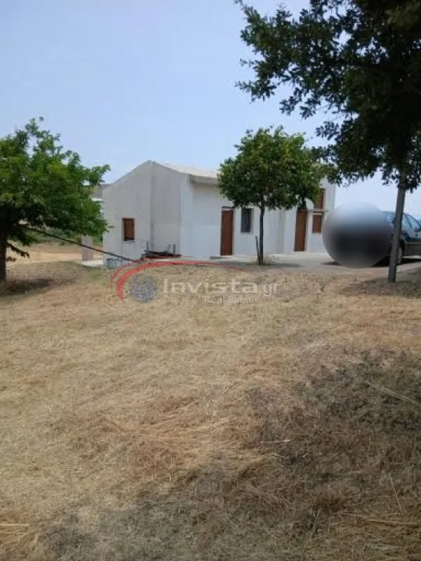 Αγροτεμάχιο 7980τ.μ.  - 2