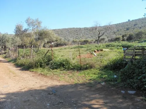 Αγροτεμάχιο 5040τ.μ.  - 4