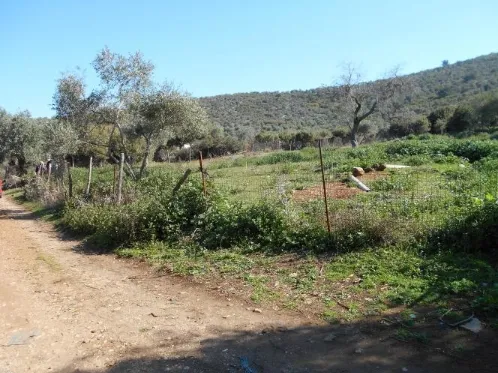 Αγροτεμάχιο 5040τ.μ.  - 5