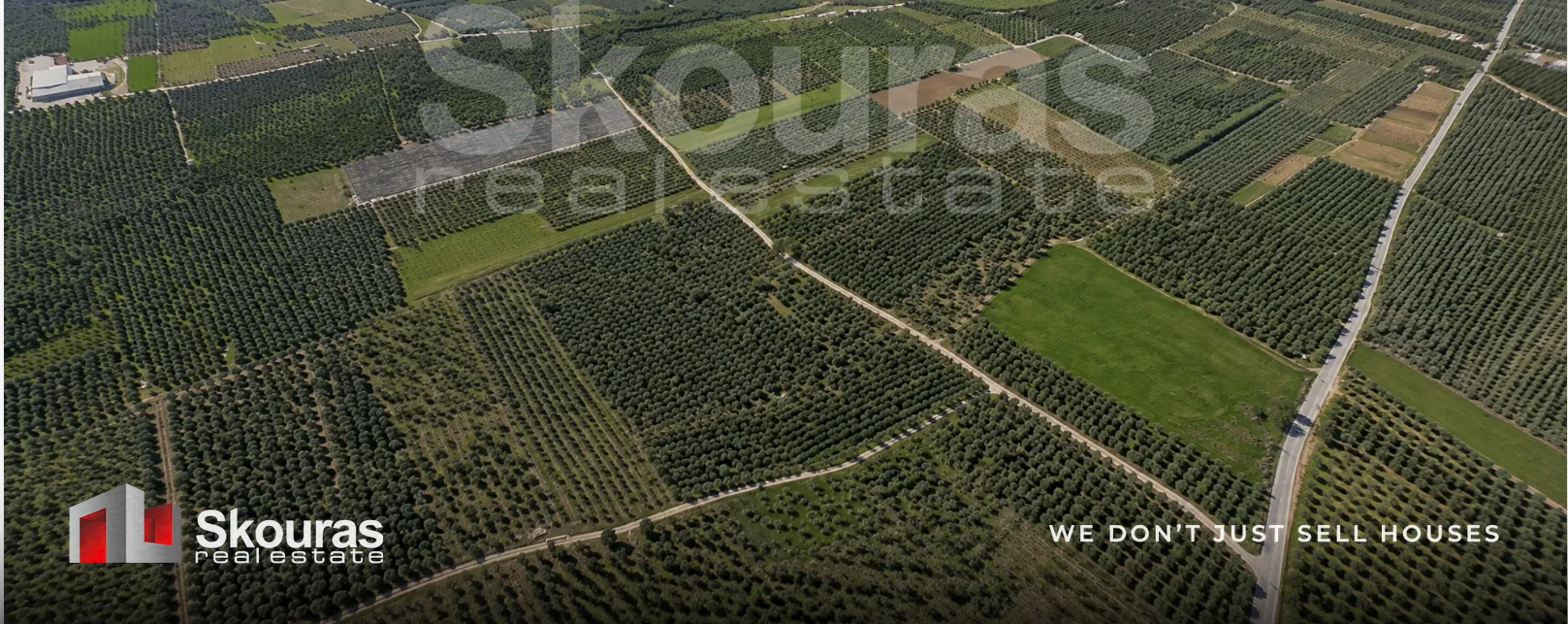 Αγροτεμάχιο 9049τ.μ.  - 3