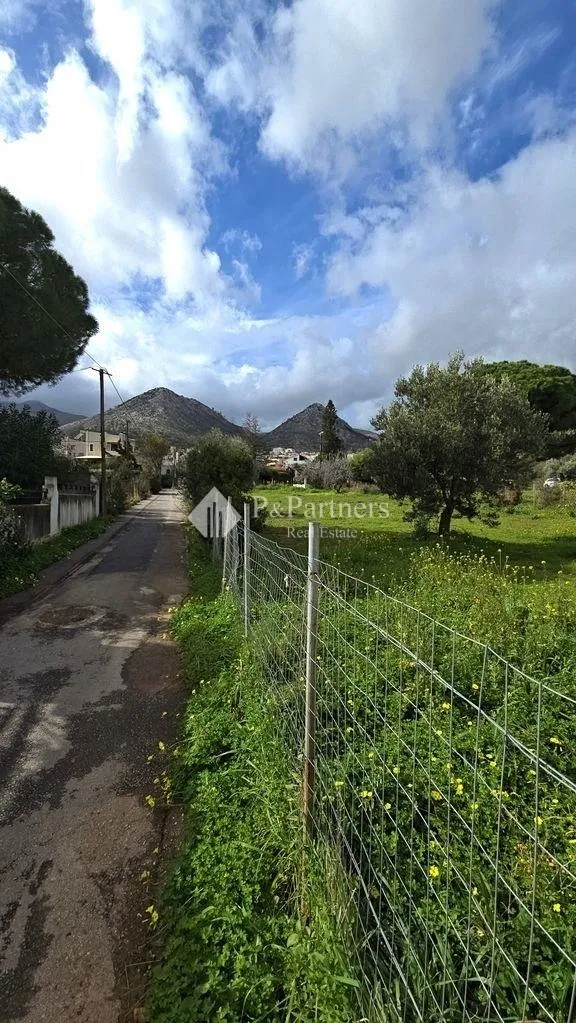 Plot 879m²  - 5