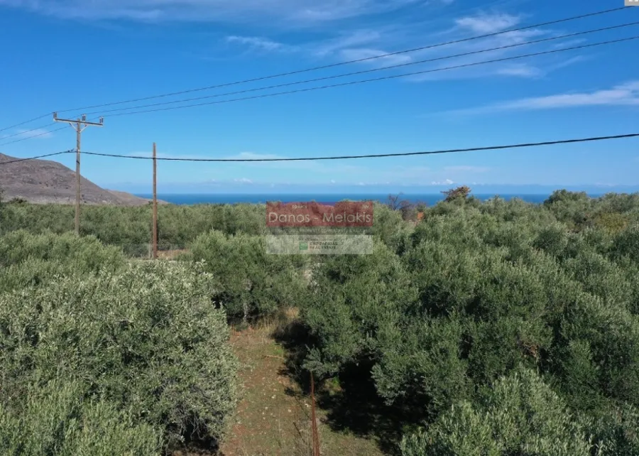 Οικόπεδο 1383τ.μ.  - 2