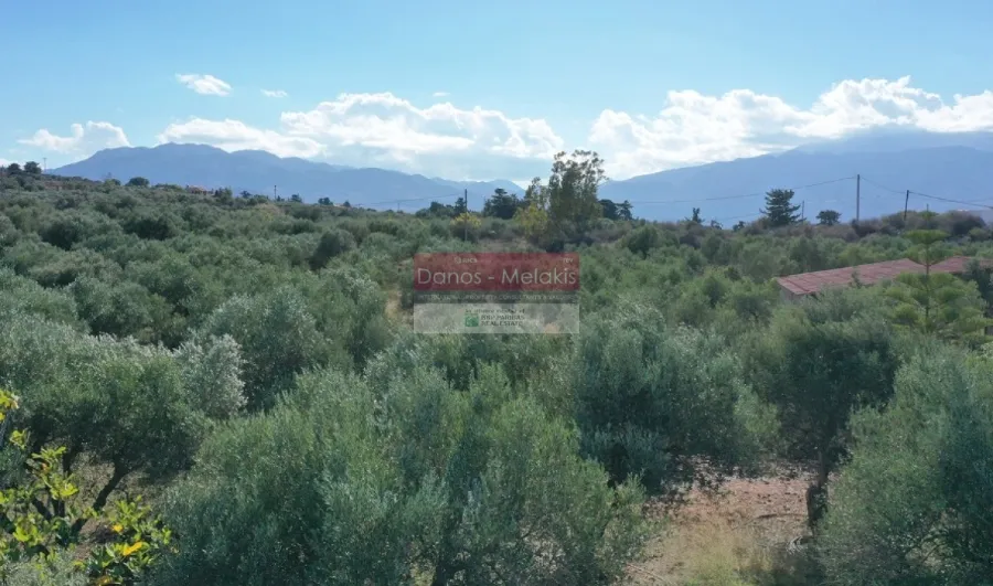 Οικόπεδο 1383τ.μ.  - 3