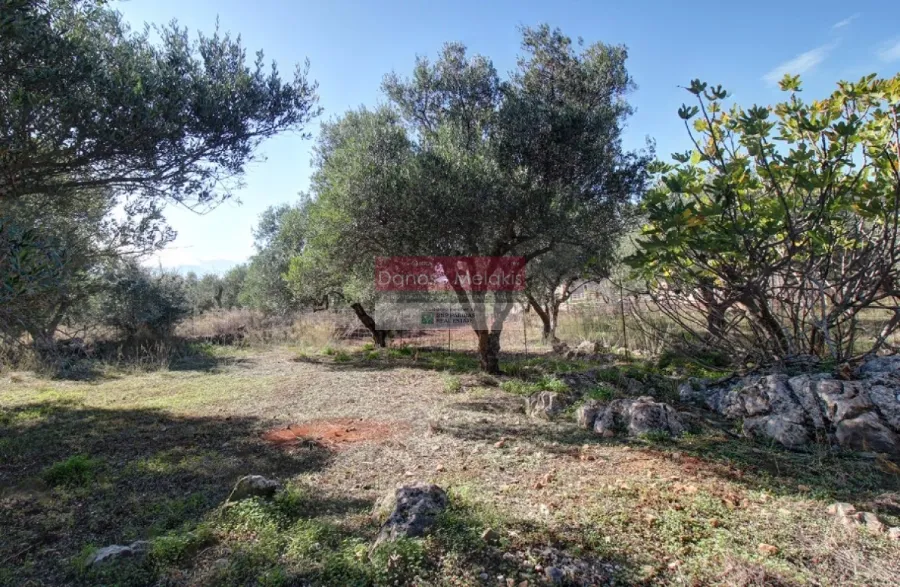 Οικόπεδο 1383τ.μ.  - 4