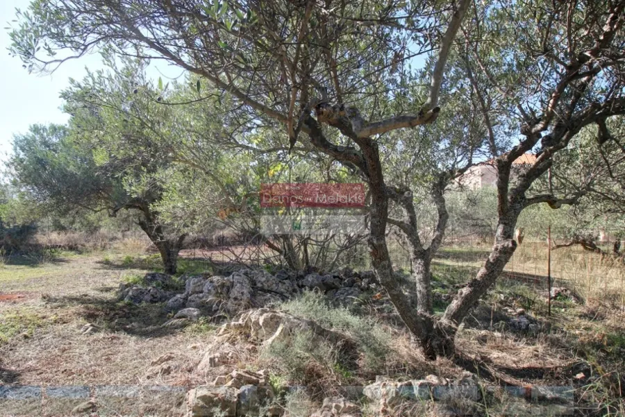 Οικόπεδο 1383τ.μ.  - 5