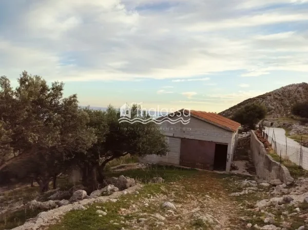 Μονοκατοικία 200τ.μ.  - 3