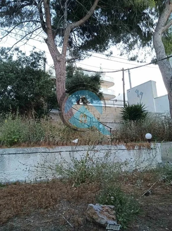 Μονοκατοικία 162τ.μ.  - 4