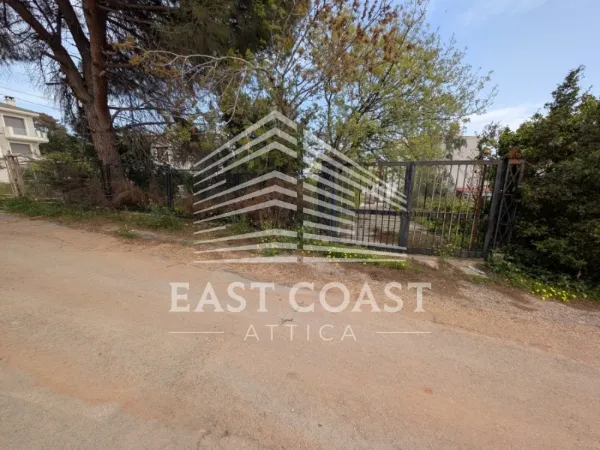 Plot 320m²  - 5
