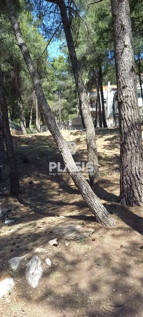 Οικόπεδο 830τ.μ.  - 2
