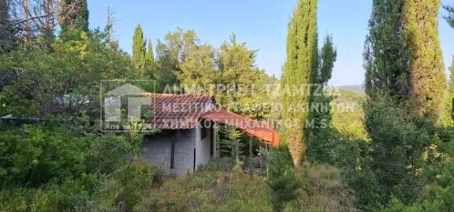 Αγροτεμάχιο 22000τ.μ.  - 3