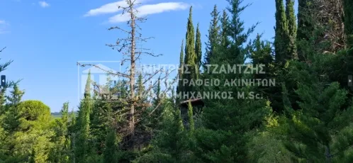 Αγροτεμάχιο 22000τ.μ.  - 4