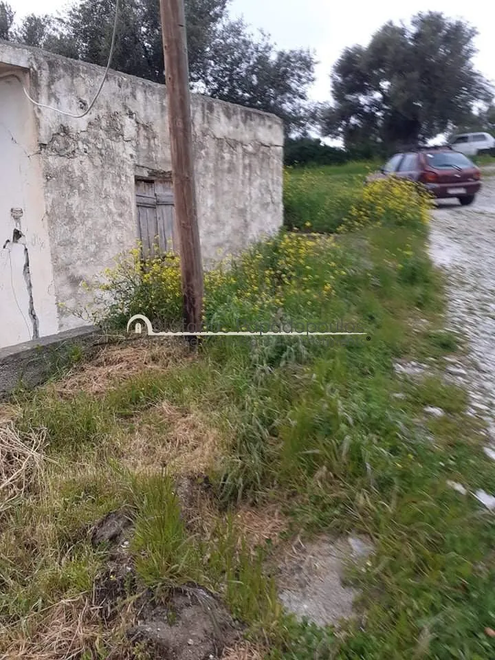 Detached house 50m²  - 2