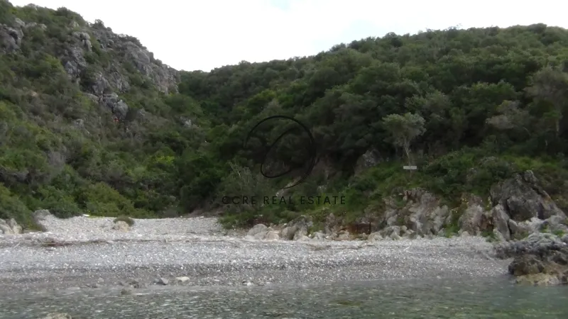 Οικόπεδο 318000τ.μ.  - 3