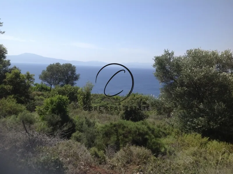 Οικόπεδο 318000τ.μ.  - 5