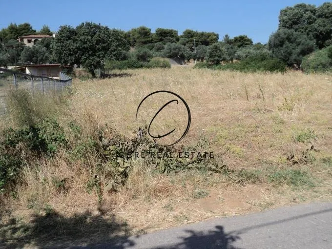 Οικόπεδο 3850τ.μ.  - 5