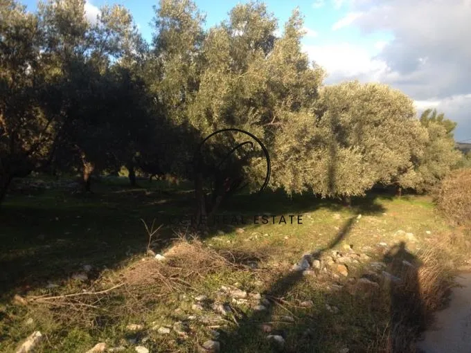 Οικόπεδο 2300τ.μ.  - 4