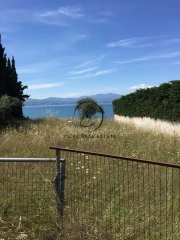 Plot 25000m²  - 2