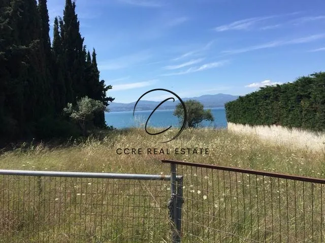 Plot 25000m²  - 3