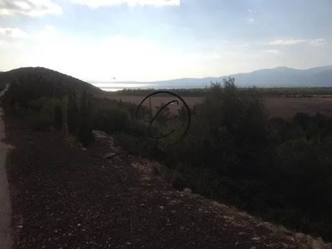 Οικόπεδο 1000τ.μ.  - 2