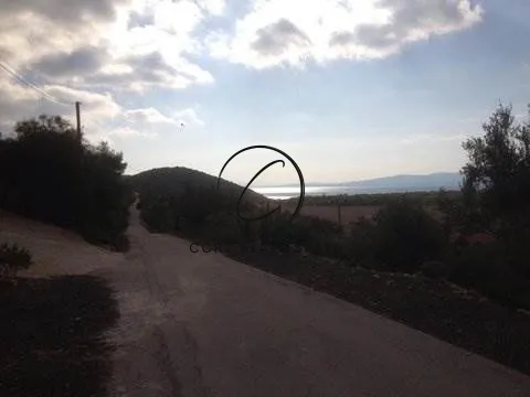 Οικόπεδο 1000τ.μ.  - 3