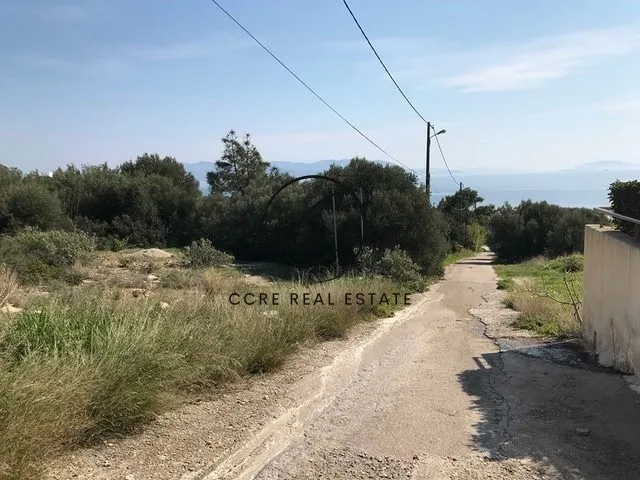 Plot 1015m²  - 3