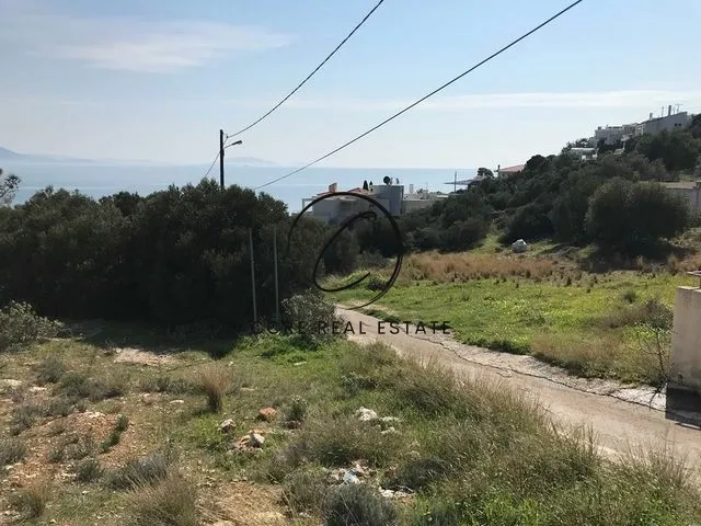 Plot 1015m²  - 4