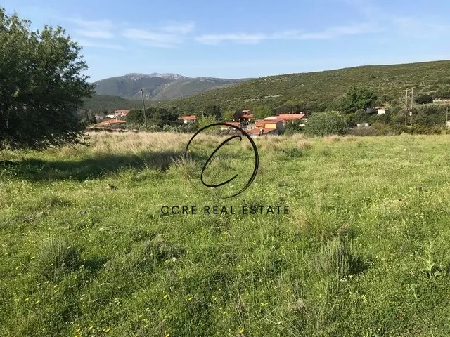 Οικόπεδο 3500τ.μ.  - 3