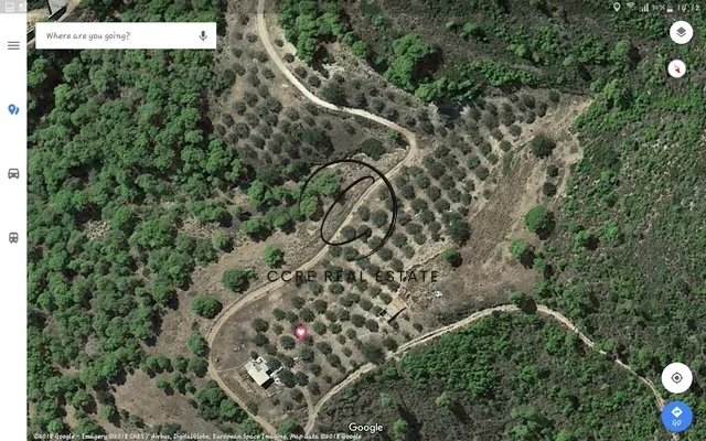 Plot 57000m²  - 4