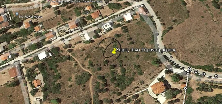 Οικόπεδο 4000τ.μ.  - 3