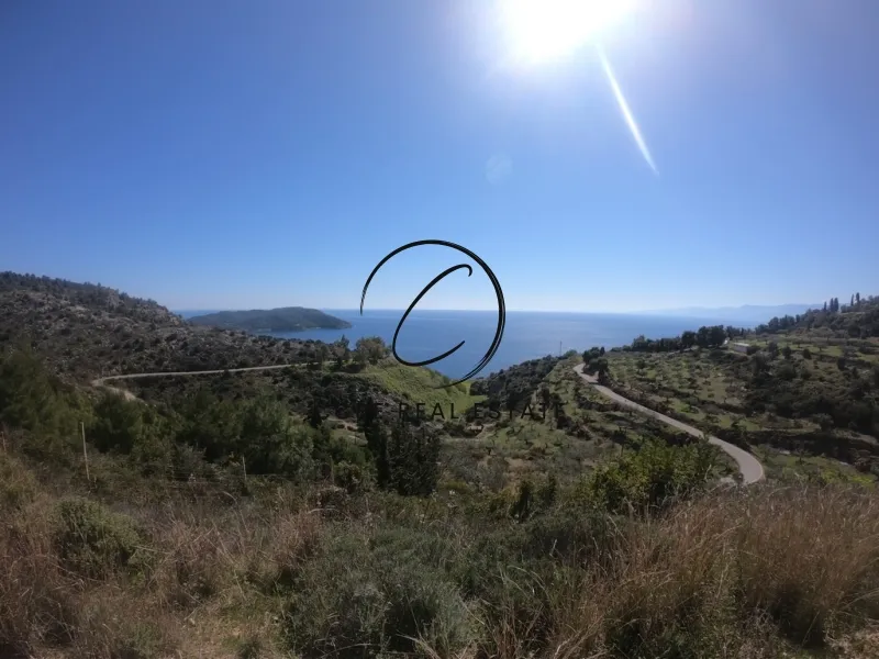 Οικόπεδο 32000τ.μ.  - 3