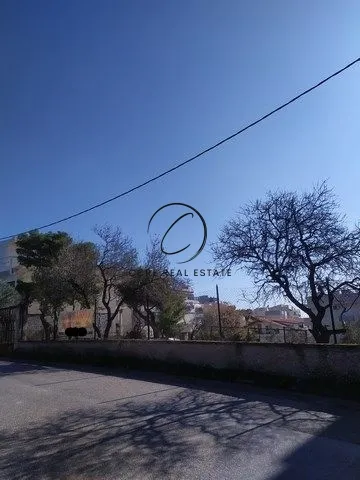 Οικόπεδο 1250τ.μ.  - 4