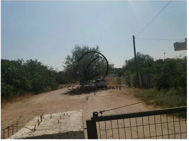 Οικόπεδο 1200τ.μ.  - 4