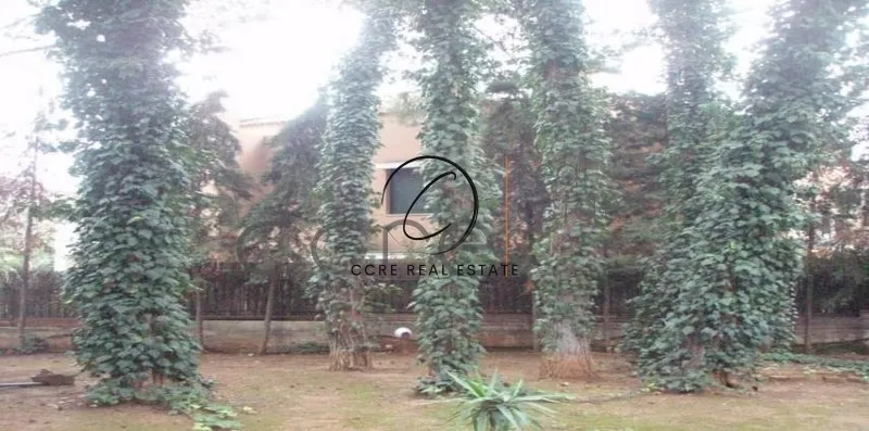 Detached house 370m²  - 5