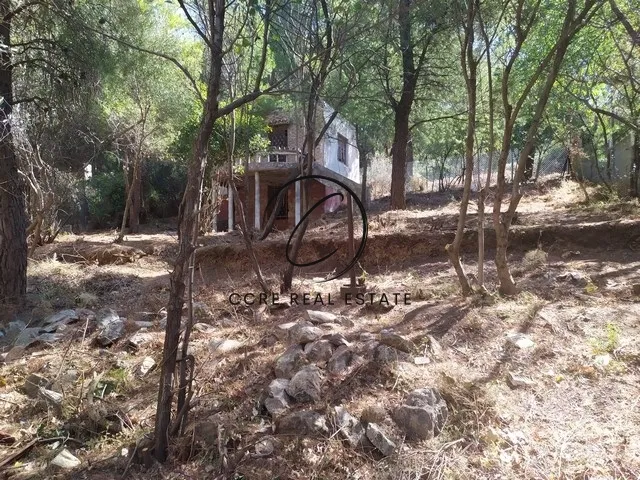 Οικόπεδο 1058τ.μ.  - 4