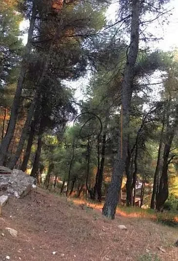 Οικόπεδο 820τ.μ.  - 2