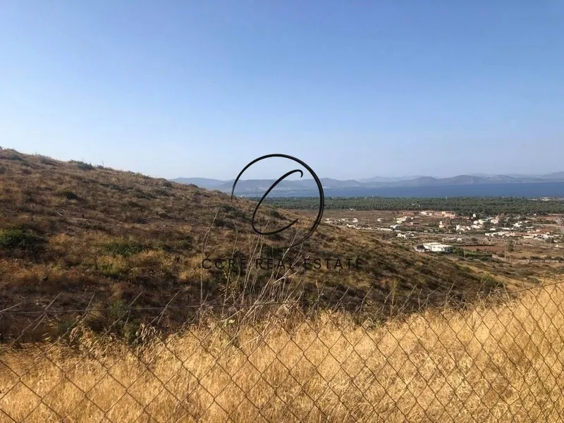 Plot 1000m²  - 3