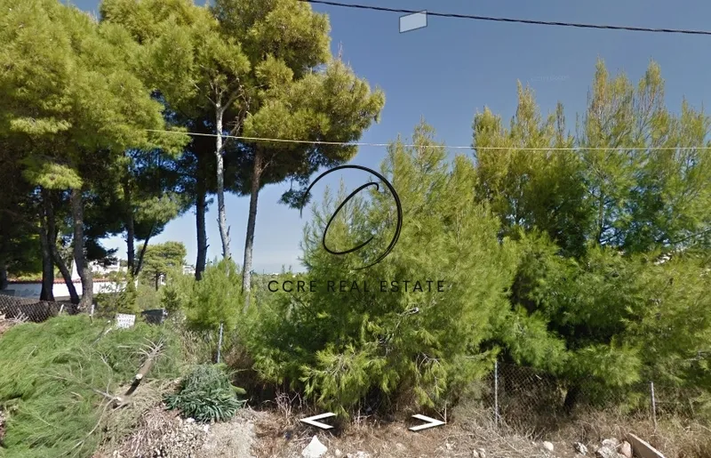 Plot 1000m²  - 4