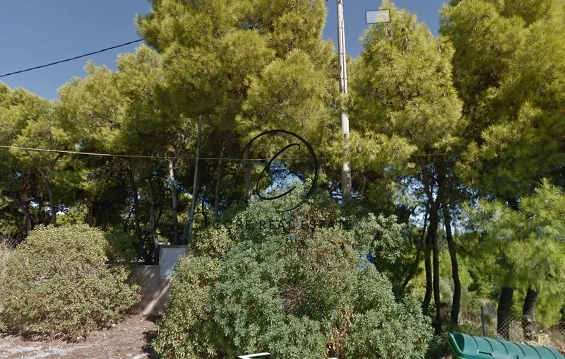 Plot 1000m²  - 5
