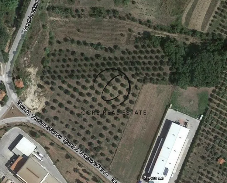 Plot 14002m²  - 5